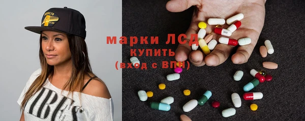 прущие грибы Алексин