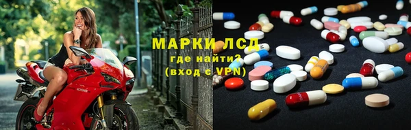 шишки Алзамай
